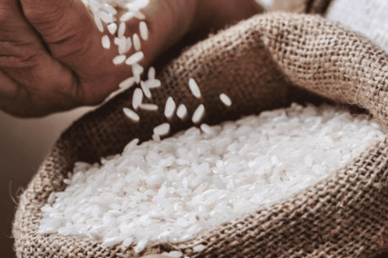 Le rôle du riz local dans le développement agricole en Côte d’Ivoire